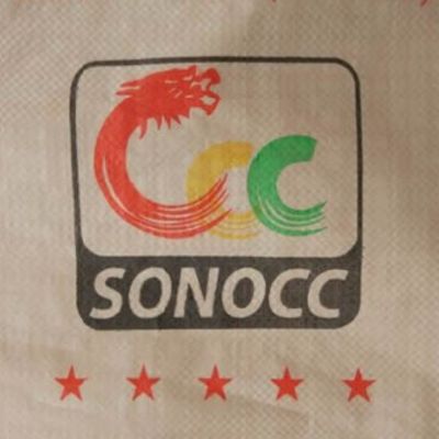 25-50KG PP Woven Cement Bag with Valve Moisture Proof ISO Certified